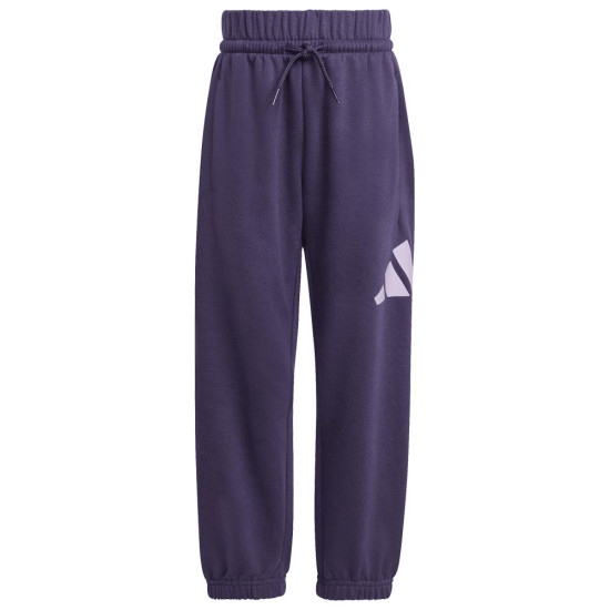 Adidas Παιδικές φόρμες σετ Essentials Big Logo Fleece Joggers Set